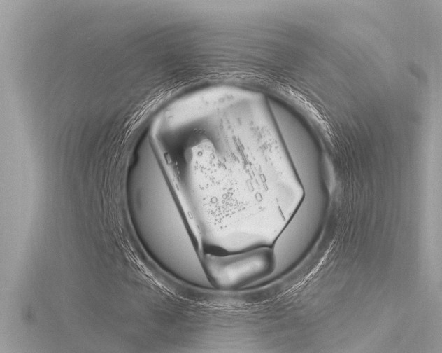 X0000116320577200912010946