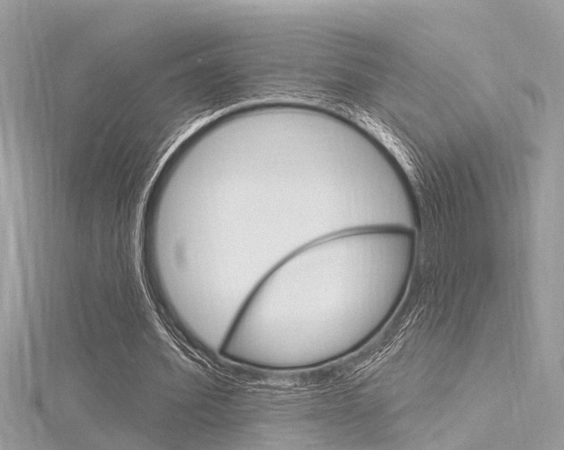 X0000116320580200912010946