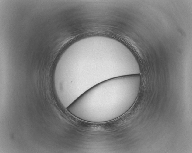X0000116320596200912010945