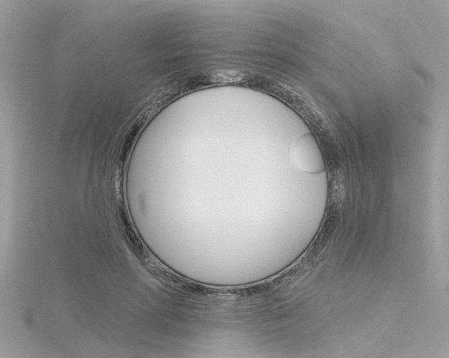 X0000116320598200912010945