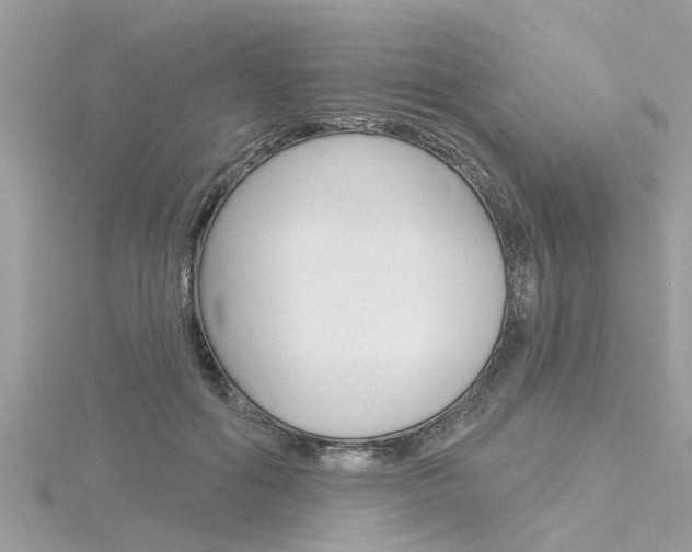 X0000116320602200912010945