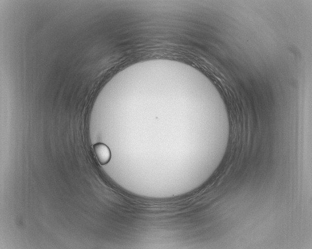 X0000116320605200912010945