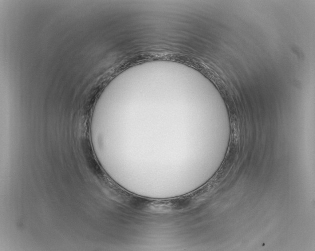 X0000116320606200912010945