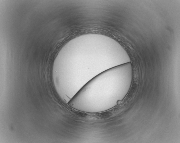 X0000116320608200912010945
