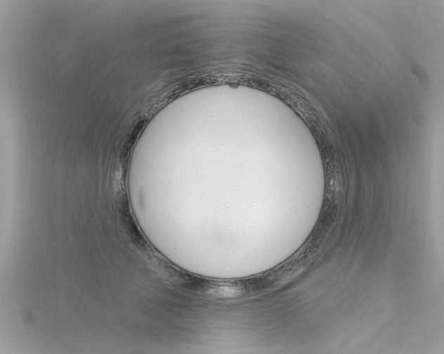 X0000116320610200912010945