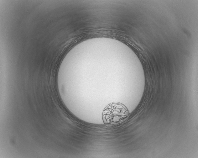 X0000116320611200912010945