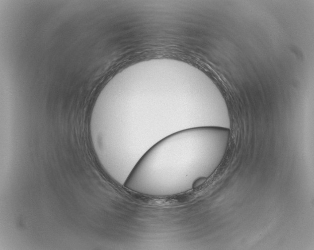 X0000116320613200912010945