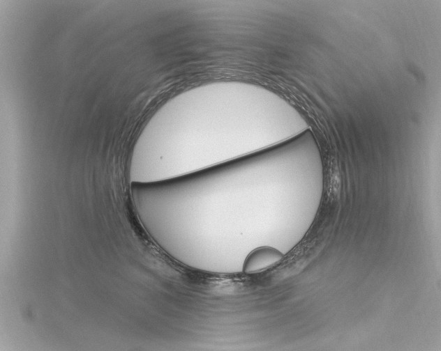X0000116320616200912010945