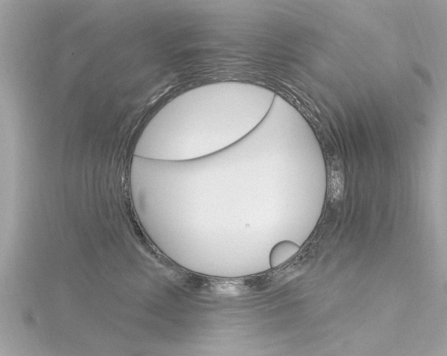 X0000116320618200912010945