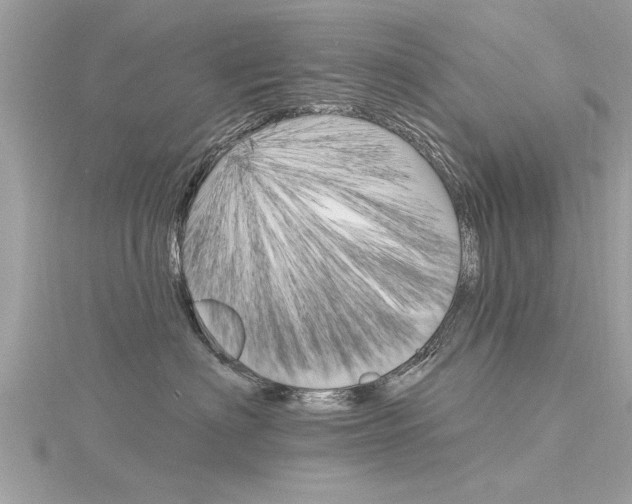 X0000116320622200912010945