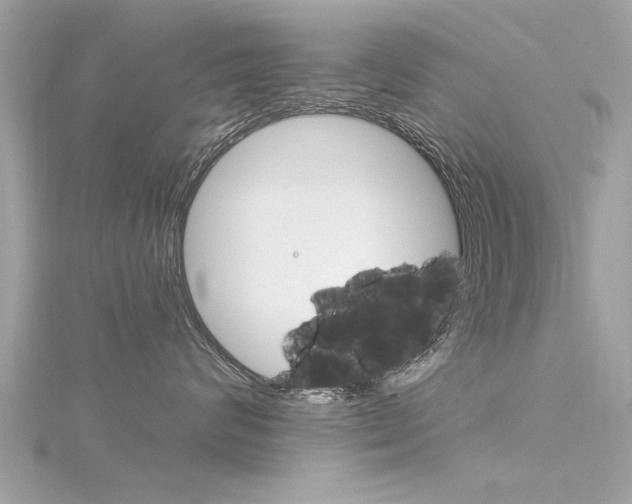 X0000116320624200912010945