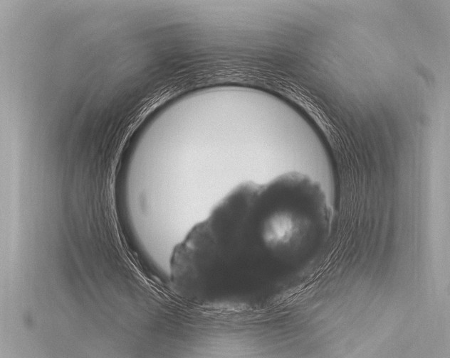 X0000116320626200912010944