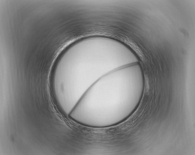 X0000116320628200912010944