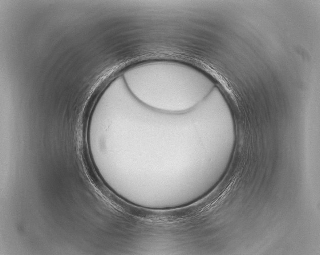 X0000116320629200912010945
