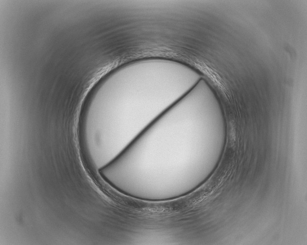 X0000116320630200912010945