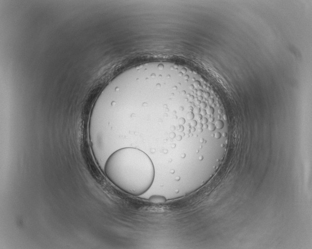 X0000116320639200912010945