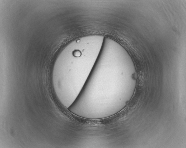 X0000116320642200912010945