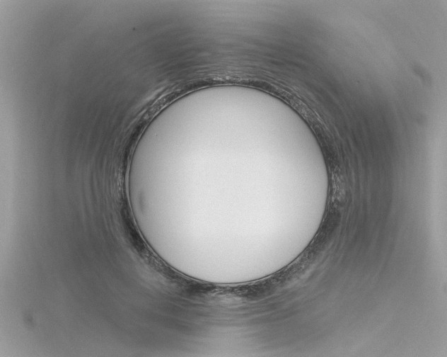 X0000116320648200912010945