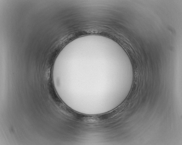 X0000116320652200912010945