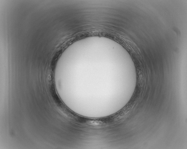X0000116320654200912010945