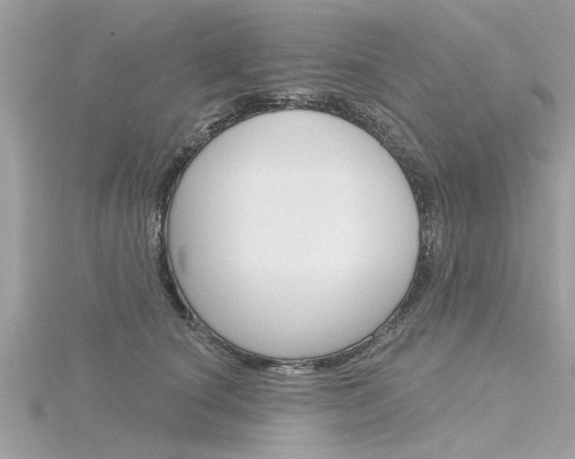 X0000116320660200912010945