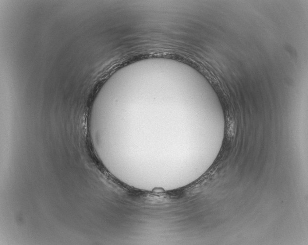 X0000116320666200912010945