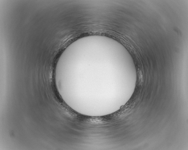 X0000116320668200912010945