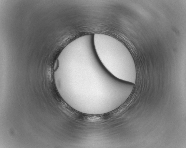 X0000116320669200912010945