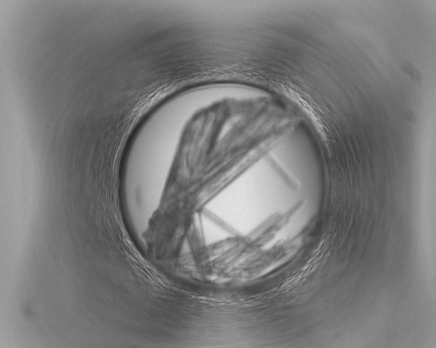 X0000116320673200912010944