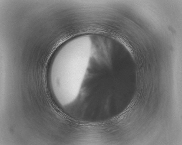 X0000116320675200912010944