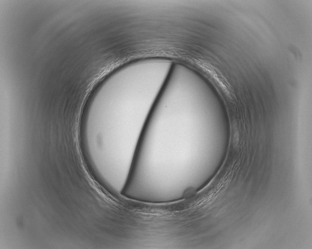 X0000116320677200912010944