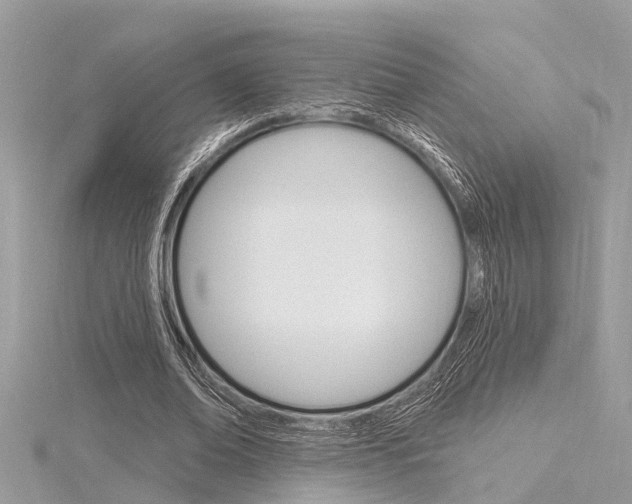 X0000116320678200912010944