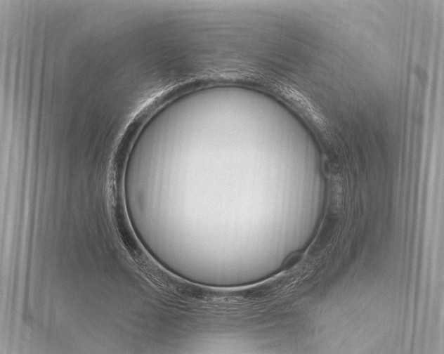 X0000116320680200912010944