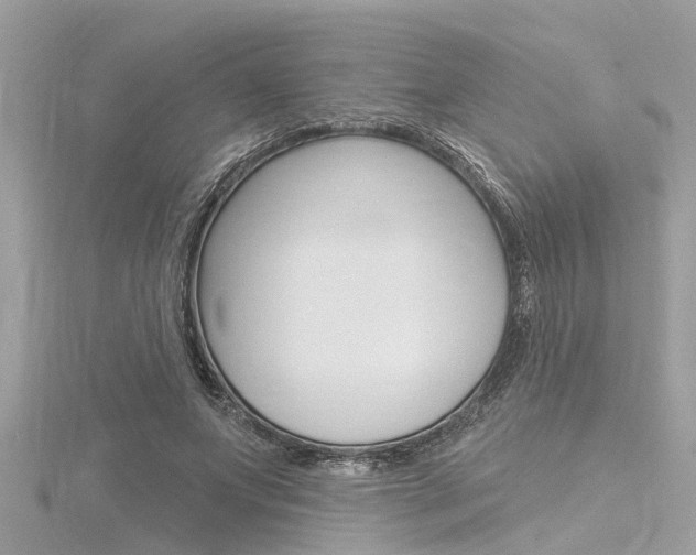 X0000116320687200912010944