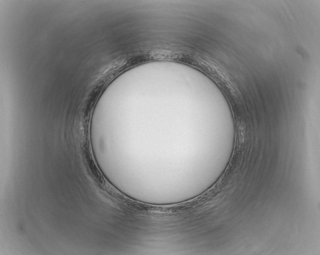 X0000116320690200912010944