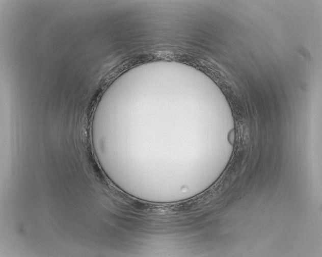 X0000116320702200912010944