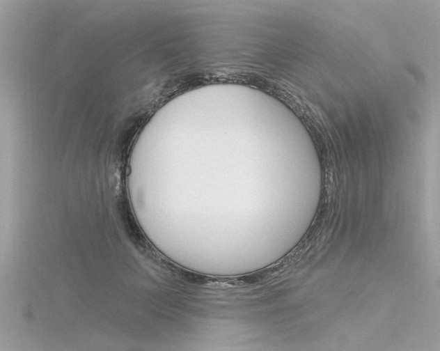 X0000116320703200912010944