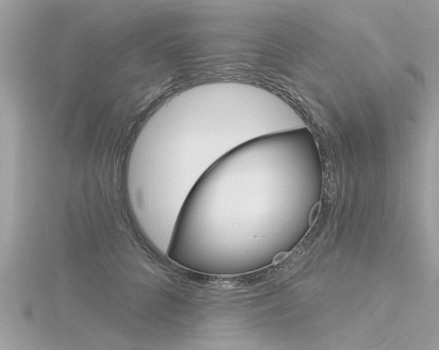 X0000116320704200912010944