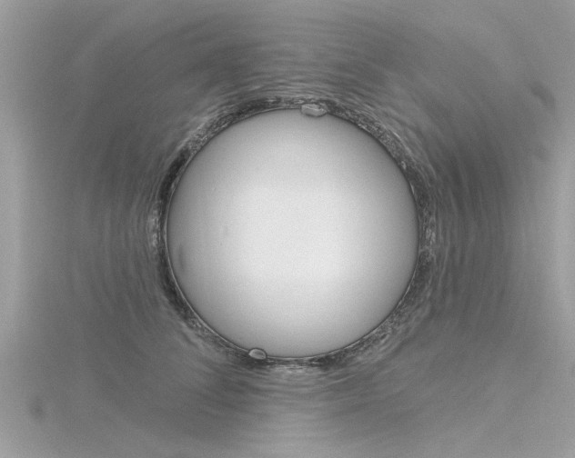 X0000116320708200912010944