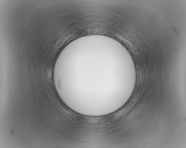 X0000116320709200912010944