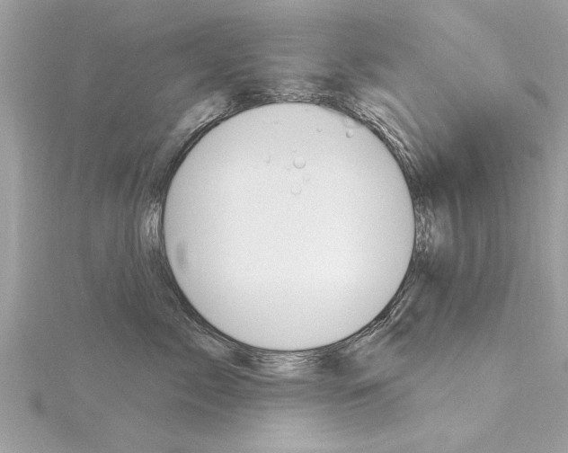X0000116320717200912010944