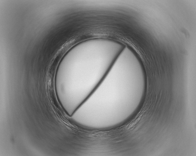 X0000116320723200912010943