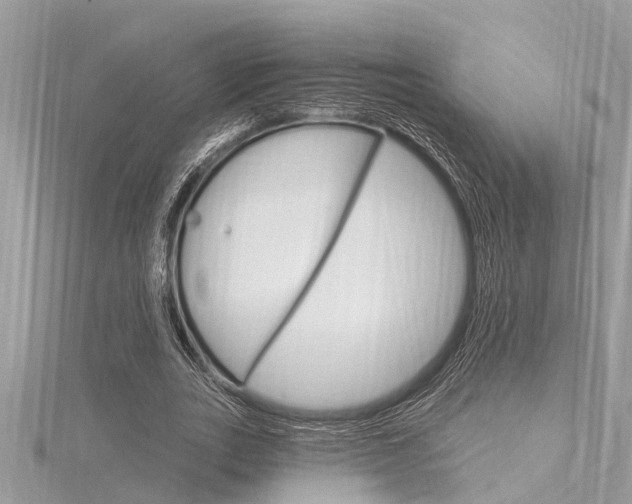 X0000116320727200912010943
