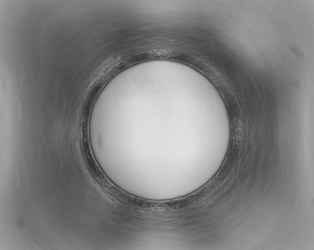 X0000116320738200912010943