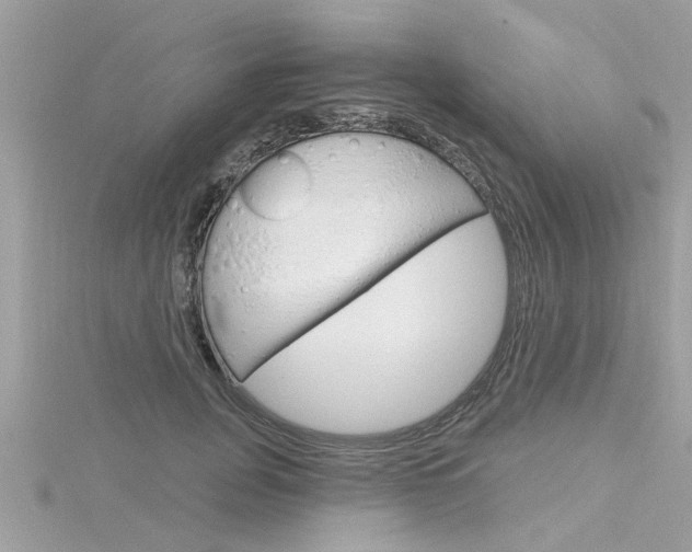 X0000116320751200912010944