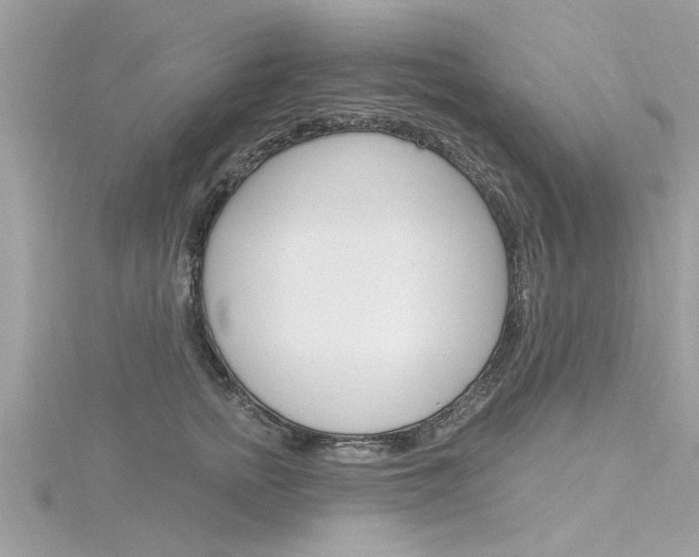 X0000116320758200912010944