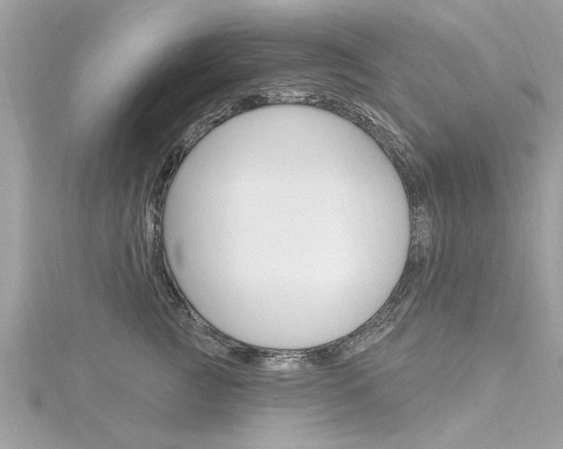 X0000116320761200912010944