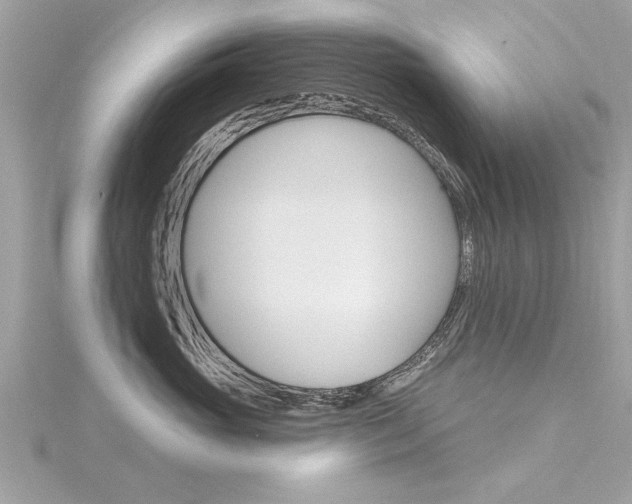 X0000116320765200912010944