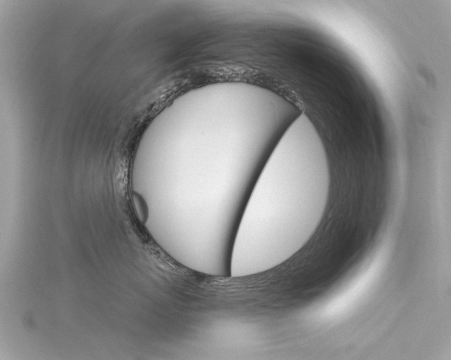 X0000116320767200912010944