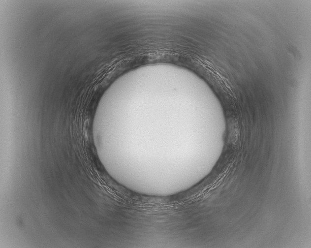 X0000116320770200912010943